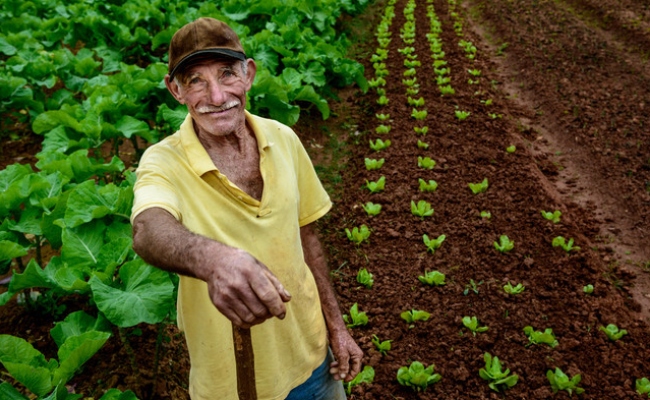 Aposentado rural pode trabalhar de carteira assinada