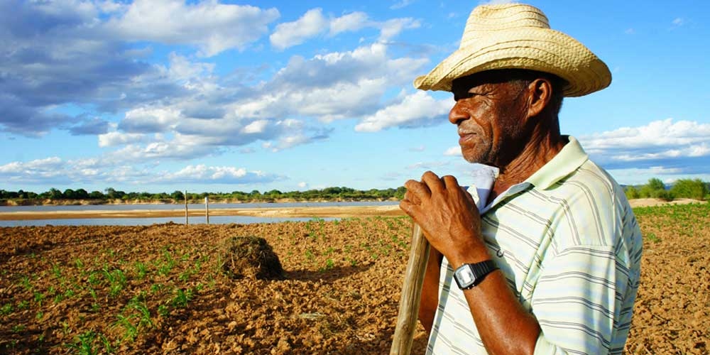 Aposentado rural pode trabalhar de carteira assinada