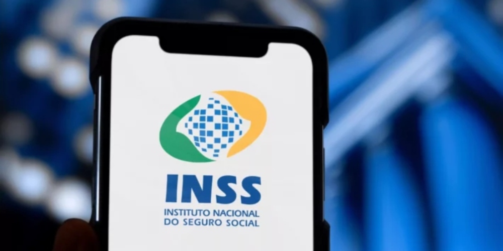 Meu INSS auxílio maternidade